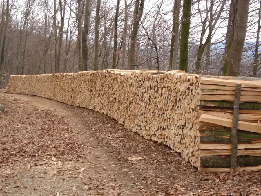 Lange Reihe gestapeltes Brennholz an einem Waldweg