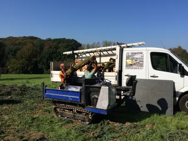 Baumfällung – Zeder 29 m – Foto 9 von 59