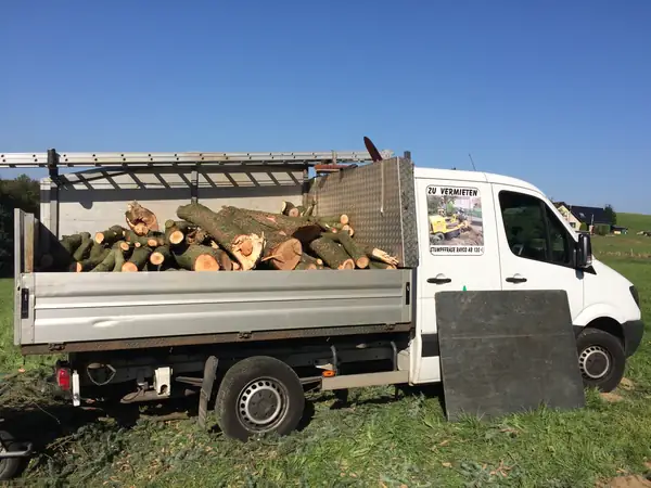 Baumfällung – Zeder 29 m – Foto 10 von 59