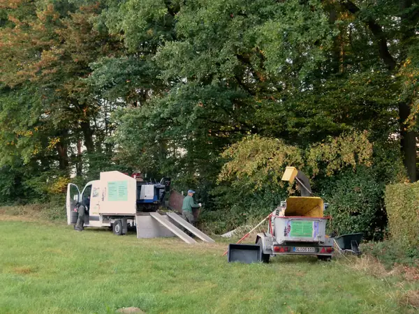 Baumfällung – Zeder 29 m – Foto 19 von 59
