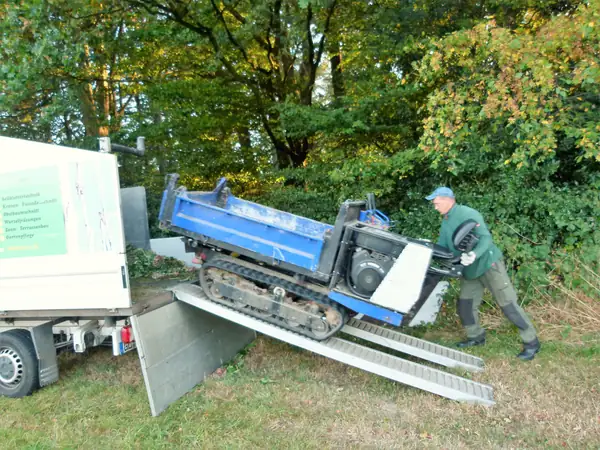Baumfällung – Zeder 29 m – Foto 20 von 59