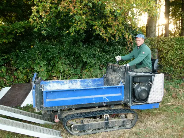 Baumfällung – Zeder 29 m – Foto 21 von 59