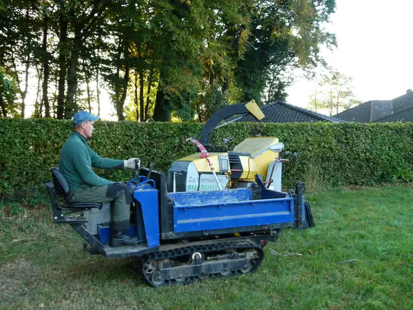 Baumfällung – Zeder 29 m – Foto 22 von 59