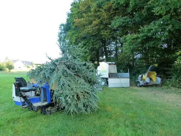 Baumfällung – Zeder 29 m – Foto 55 von 59