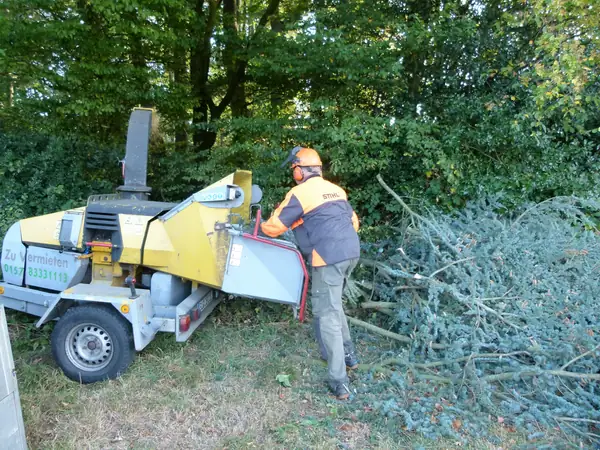 Baumfällung – Zeder 29 m – Foto 57 von 59