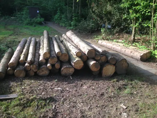 Brennholz – Foto 6 von 11