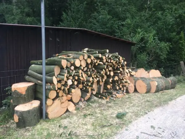 Brennholz – Foto 9 von 11
