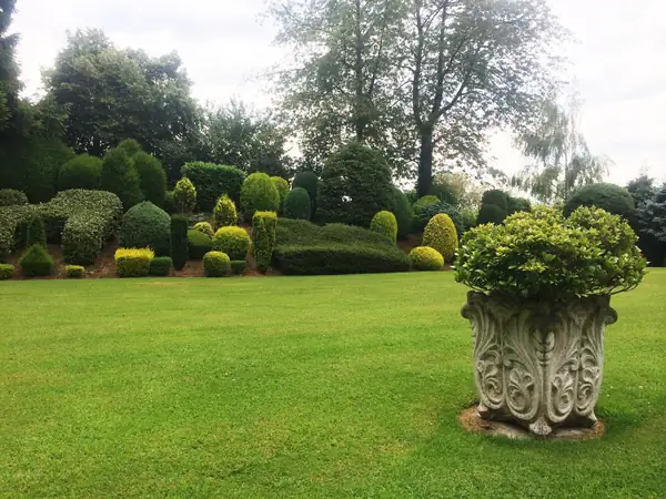 Gartenpflege – Foto 2 von 14