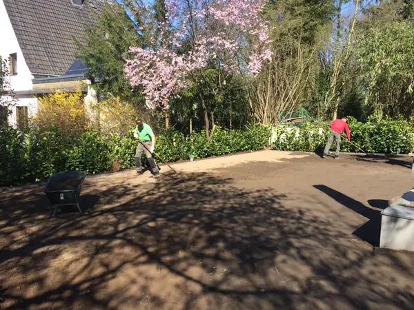 Gartenpflege – Foto 6 von 14