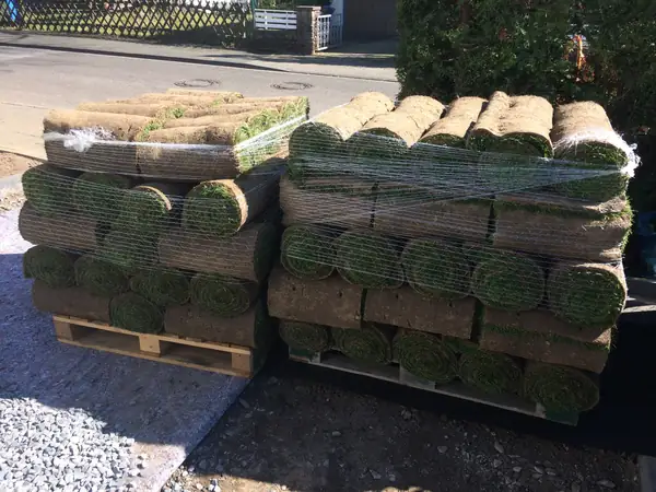 Gartenpflege – Foto 8 von 14