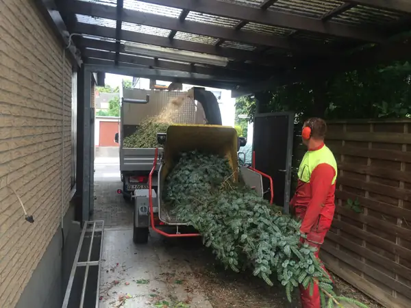 Häckseln – Foto 1 von 6