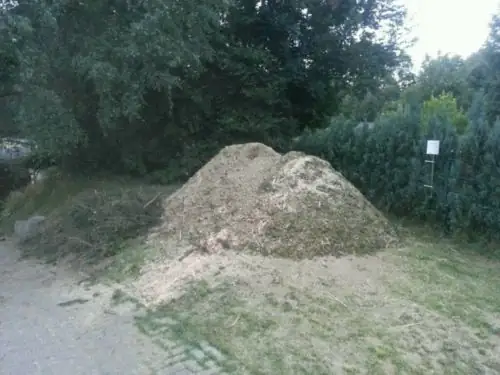 Hackschnitzel – Foto 3 von 4