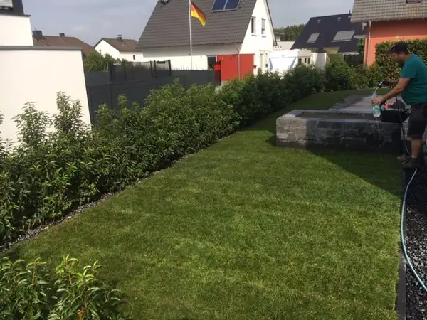 Rollrasen anlegen – Foto 4 von 17
