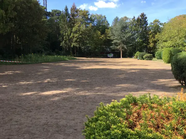 Rollrasen anlegen – Foto 5 von 17