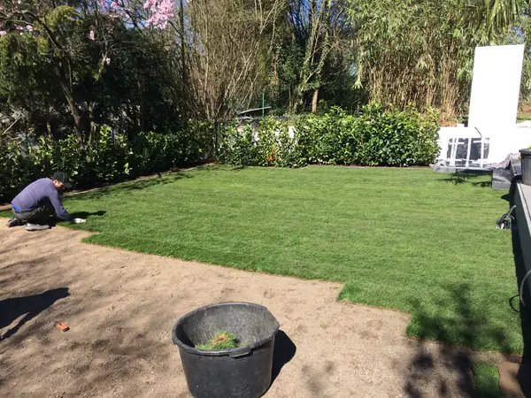 Rollrasen anlegen – Foto 13 von 17