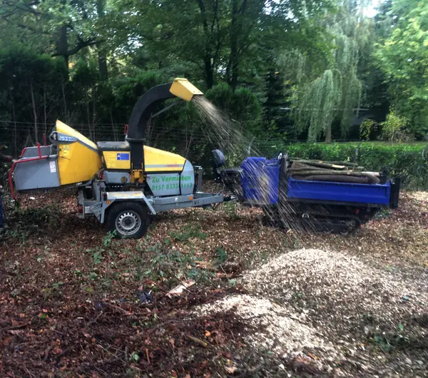 Schreddern – Foto 2 von 3