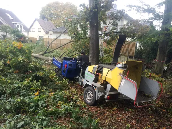 Zu vermieten – Foto 7 von 12