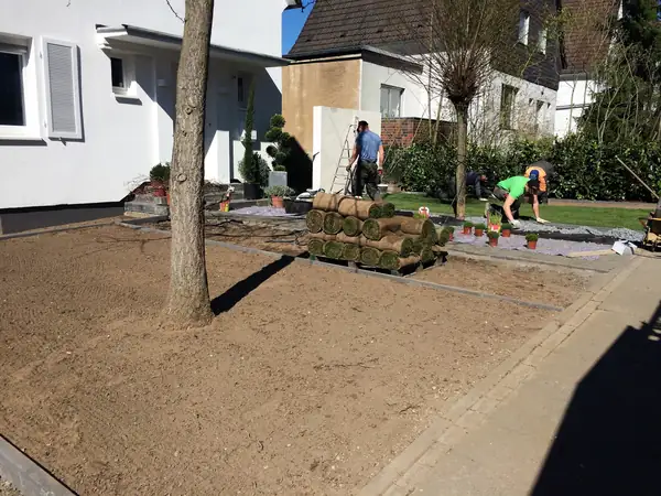 Vorgarten – Foto 8 von 9