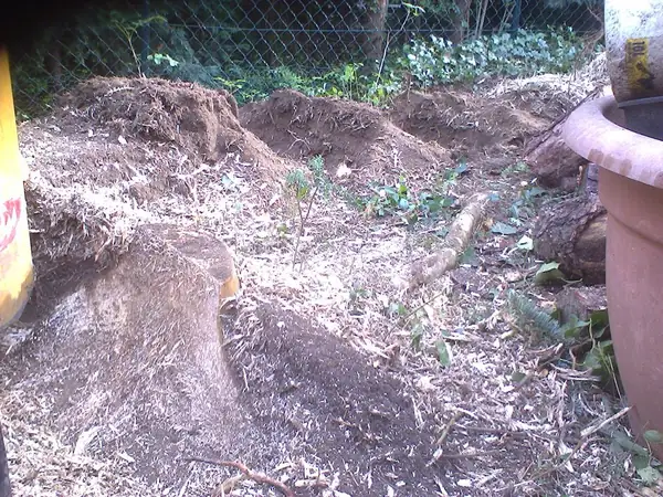 Wurzelfräsen – Foto 1 von 9